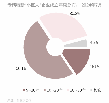 10 专精特新