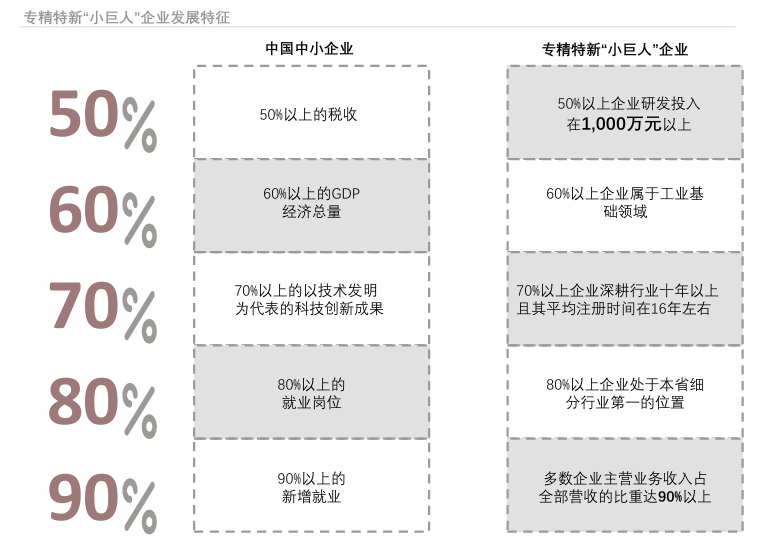 11 专精特新