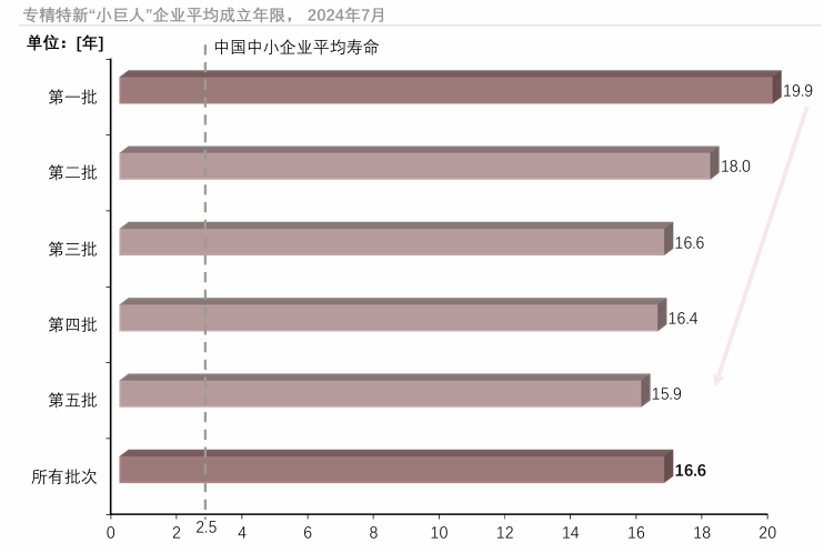 9 专精特新